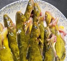 Yellow Croaker