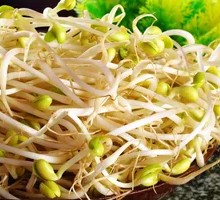 Bean sprouts