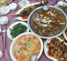 Steamed Snakehead Fish