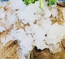 Fresh Tripe