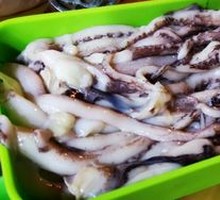 Squid Tentacles