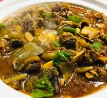 Stewed Softshell Turtle